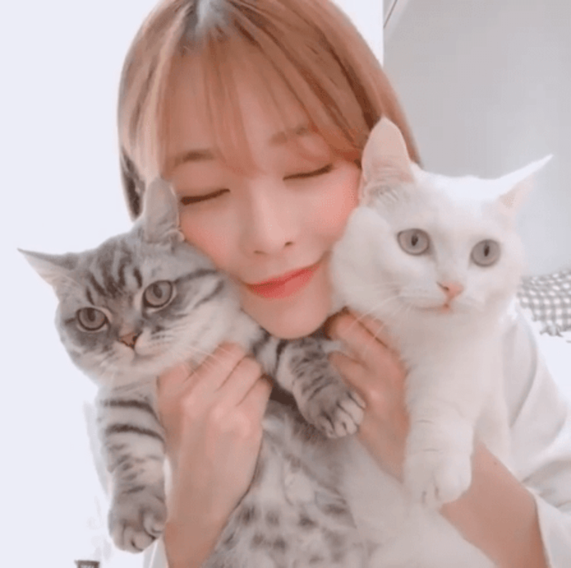 messy promax profile image