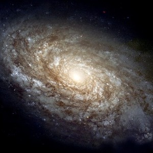 ANJAY KUMA profile image