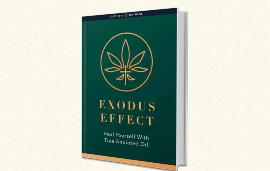 Exodus Effect profile image