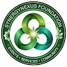SYNERGY NEXUS FOUNDATION profile image