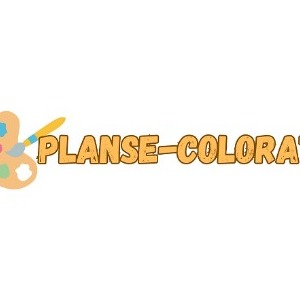 Planse Colorat profile image