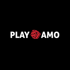PlayamoCasino profile image