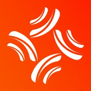 Nikhilesh profile image