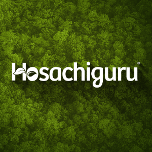 Hosachiguru profile image