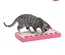 Trixie Cat Scratching Cardboard with Ball 48 x 25 cm