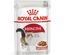 Royal Canin Instinctive Adult Cat Wet Food 85 gm
