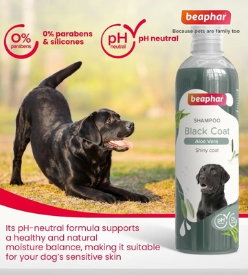 Beaphar Sage and Aloe Vera Black Coat Dog Shampoo 250 ml