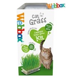 Webbox Cat Grass Seeds Cat Treat 120 gm