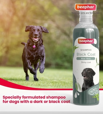 Beaphar Sage and Aloe Vera Black Coat Dog Shampoo 250 ml