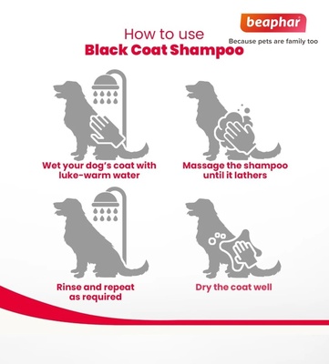 Beaphar Sage and Aloe Vera Black Coat Dog Shampoo 250 ml