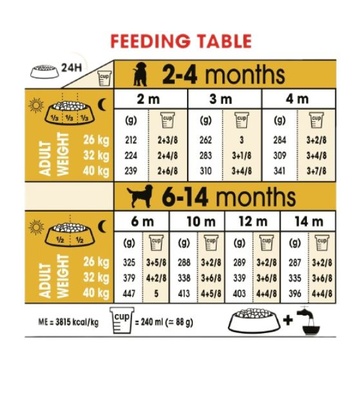 Royal Canin Labrador Retriever Puppy, Dog Dry Food, 12 kg