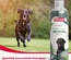 Beaphar Sage and Aloe Vera Black Coat Dog Shampoo 250 ml