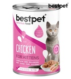 Bestpet Chicken in Gravy Kitten Wet Food 400 gm