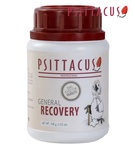 Psittacus General Recovery 100 gm