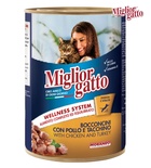 Miglior Gatto Chicken and Turkey Chunks Cat Wet Food 405 gm
