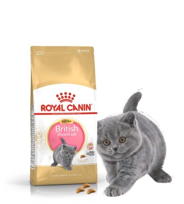 Royal Canin British Shorthair Kitten, Cat Dry Food, 2 kg