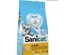 Sanicat Classic Unscented Non-Clumping Cat Litter 10 L