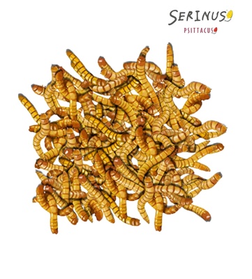 Serinus Insect-Protein Booster 350 gm