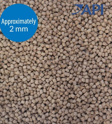 API Pellet Betta Fish Food 28 gm