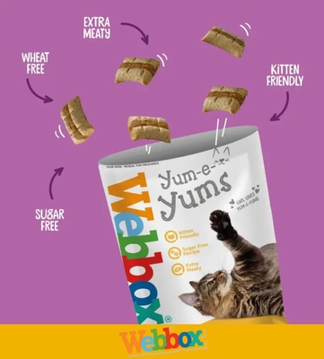Webbox Yum-e-Yums Cheese Cat Treats 40 gm