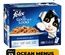 Felix As Good As It Looks Ocean Menus in Jelly Cat Wet Food 85 gm x 12 pcs