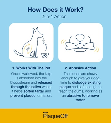 ProDen PlaqueOff Vegetable Fusion Dental Care Bones 482 gm