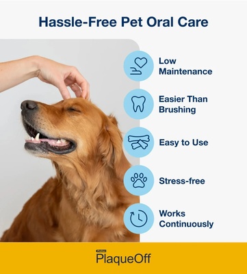 ProDen PlaqueOff Vegetable Fusion Dental Care Bones 482 gm