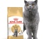 Royal Canin British Shorthair Adult, Cat Dry Food, 10 kg