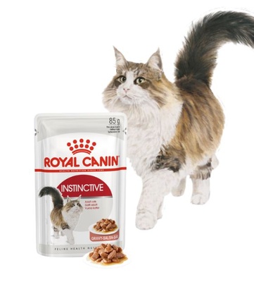 Royal Canin Instinctive Adult Cat Wet Food 85 gm