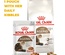 Royal Canin Senior Ageing 12+, Cat Dry Food, 2 kg