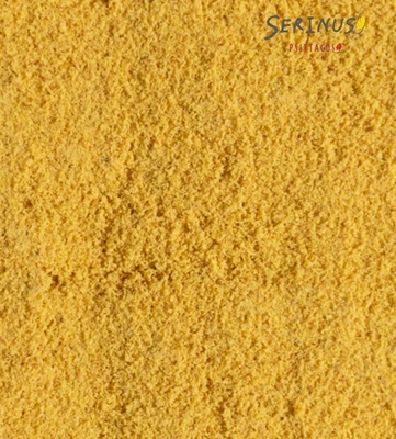 Serinus Canaries Hand Feeding 350 gm