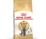 Royal Canin British Shorthair Adult, Cat Dry Food, 10 kg