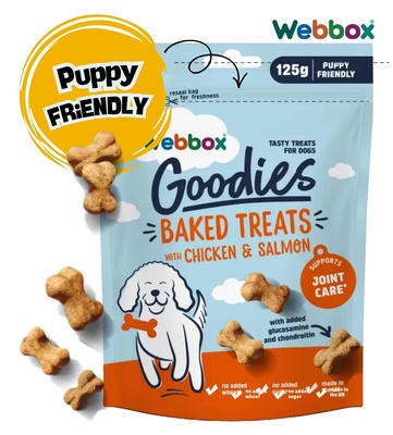 Webbox Goodies Chicken & Salmon Baked Dog Treats 125gm x 8pcs