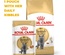 Royal Canin British Shorthair Adult, Cat Dry Food, 10 kg