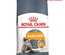 Royal Canin Care Hair & Skin Cat Dry Food 2 kg