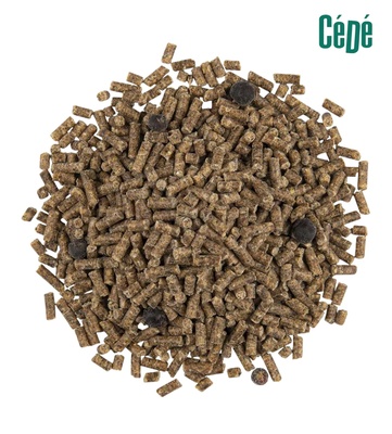 Cede Universal Softbill Pellets 1 Kg