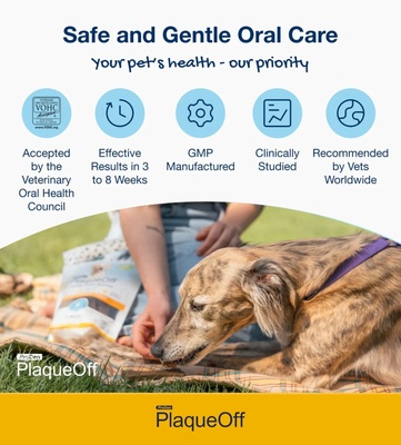 ProDen PlaqueOff Vegetable Fusion Dental Care Bones 482 gm