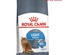 Royal Canin Care Light Weight Cat Dry Food 1.5 kg
