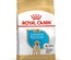 Royal Canin Labrador Retriever Puppy, Dog Dry Food, 12 kg