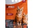 Petra Pet Chicken and Cereals Cat Dry Food 1kg