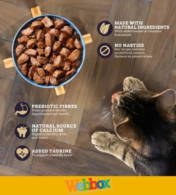 Webbox Natural Meat and Fish Selection in Jelly Kitten Wet Food 100 gm x 12 pcs