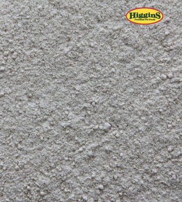 Higgins InTune Hand Feeding Formula For All Birds 2.27 kg