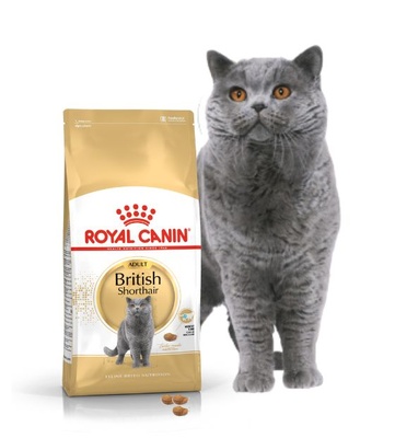 Royal Canin British Shorthair Adult, Cat Dry Food, 10 kg