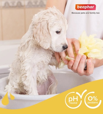 Beaphar Camomile and Aloe Vera Soft Puppy Shampoo 250 ml
