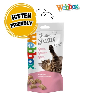 Webbox Yum-e-Yums Salmon Cat Treats 40 gm