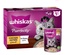 Whiskas Purrfectly Chicken Entree Cat Wet Food 85 gm x 12 pcs