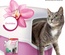 Beaphar Orchid Cat litter Deodorizer 400 gm