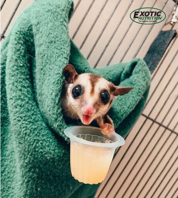 Exotic Nutrition Deluxe Nest Pouch Green W 7" x H 8"