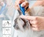 Beaphar Cat Calming Spot on 0.4 ml x 3