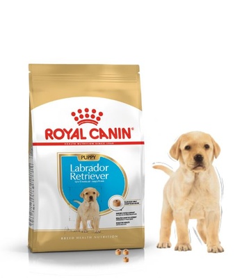 Royal Canin Labrador Retriever Puppy, Dog Dry Food, 12 kg